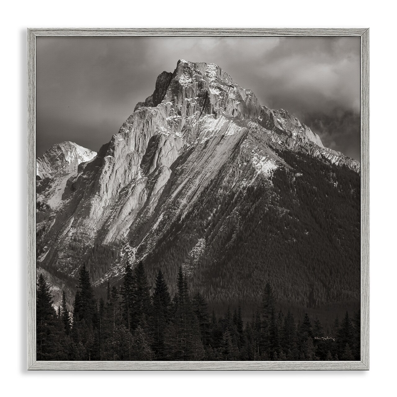 Stupell Industries Canadian Rockies View Framed Giclee Wall Art Design by Alan Majchrowicz